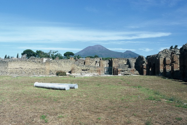 Online-Lecture Dr. Natalie de Haan - Under Construction - the Central Baths at Pompeii, 16.05.2024